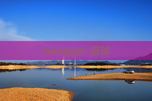 swagger 篮球 swagger 篮球
